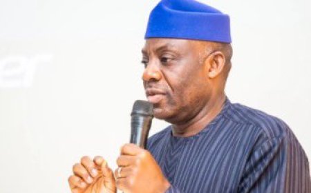 The Federal Government has granted a 50% electricity subsidy for public hospitals.