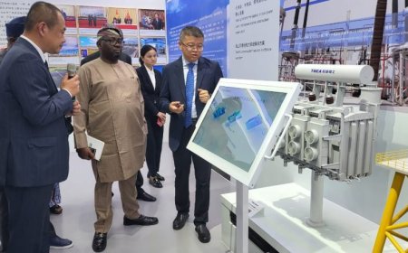 The Minister of Power, Adebayo Adelabu, has revealed that the federal government intends to allocate $800 million for the establishment of substations and distribution lines as part of the Presidential Power Initiative.