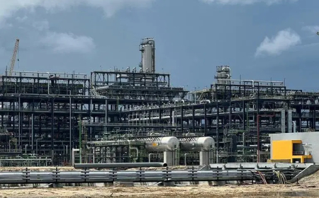 Dangote Refinery: The wicked have done their worst