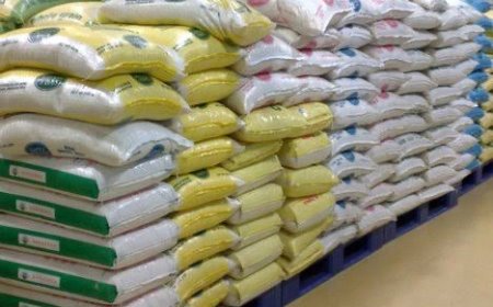 The Federal Government has begins the sale of 30,000 metric tonnes of milled rice to the Nigerian populace at a subsidized price of N40,000 for each 50-kilogram bag.