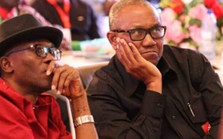 Julius Abure has expressed his disappointment towards Peter Obi and Alex Otti, accusing them of betrayal and indicating that their response to support has been one of insubordination.