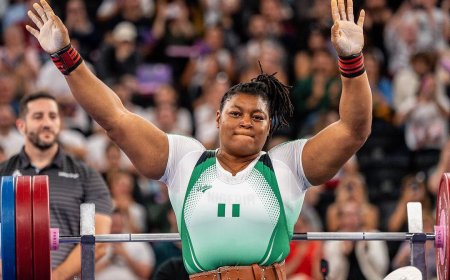 2 Gold, 3 Silver, 2 Bronze: Nigerian Paralympians Break Records and Win Big in Paris