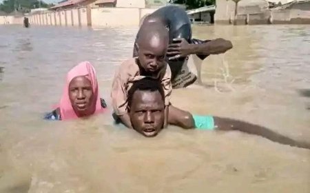 The Senate is set to pass legislation designed to reduce the impact of environmental disasters within the nation.