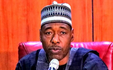 Flood: I’m worried that jailed terrorists might have escaped - Governor Zulum