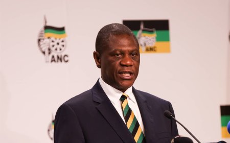 South Africa’s Vice President Paul Mashatile collapses at event (video)