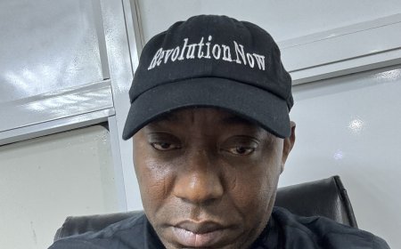 DSS arrests Omoyele Sowore on return to Nigeria