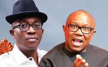 The Labour Party has accused Peter Obi, along with Abia State Governor Dr. Alex Otti and others, of attempting to gain control of the party's leadership through underhanded tactics, utilizing the INEC as a platform for their efforts.