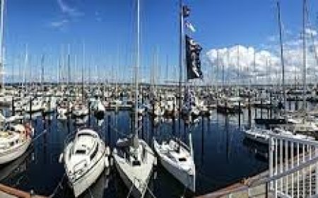 Harbors vs. Shipyards: A Maritime Comparison