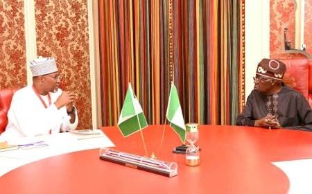 The chairman of the Presidential Committee on Livestock, Prof. Jega, has stated that the Committee believes that immediately stopping open grazing, which is a longstanding practice in pastoralism, would be counterproductive.