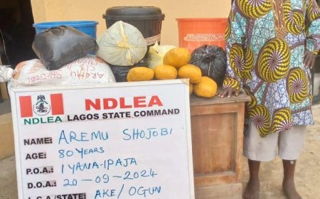 NDLEA arrests 80-year-old grandfather with illicit drugs in Lagos