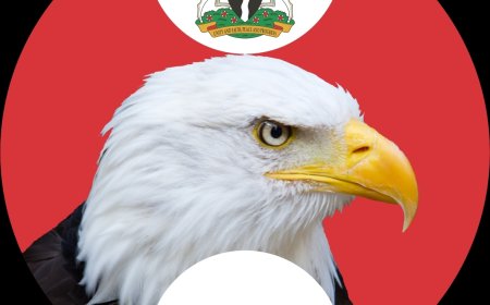 EFCC has released press statement regarding VeryDarkMan’s trending video