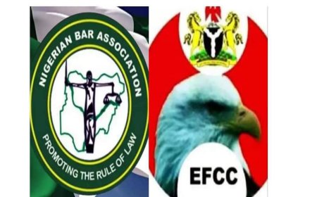 The Nigerian Bar Association (NBA) has expressed concern over allegations that officials of the Economic and Financial Crimes Commission (EFCC) accepted a N15 million bribe to drop a money laundering case against convicted crossdresser Idris Okuneye, popularly known as Bobrisky.