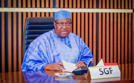 SGF highlights President Tinubu's accomplishments in anticipation of the upcoming independence celebration.