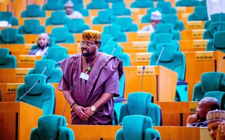 On Thursday, the House of Representatives passed a bill on its first reading aimed at amending the 1999 Constitution to permit independent candidates to compete for elective positions in upcoming elections.