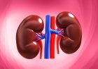 5 Foods That Are Harming Your Kidneys