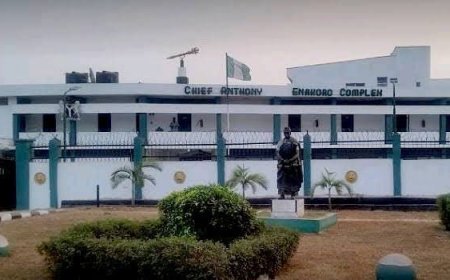 The Edo House of Assembly has declared the reinstatement of the last two suspended lawmakers, Donald Okogbe and Adeh Isibor, following a five-month period of suspension.