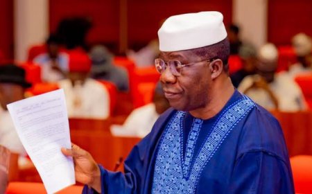 On Monday, Senate Leader Senator Opeyemi Bamidele announced that President Bola Tinubu has allocated 1,200 bags of fertilizer to each senator, intended for distribution to farmers within their respective districts.