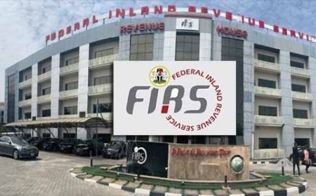 The details of the new Nigeria Revenue Service (Establishment) Bill.