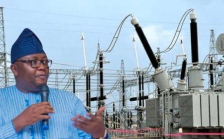 “We keep talking about grid collapse. Grid collapse, grid collapse, whether it’s a total collapse, partial collapse, or slight trip-off. This is almost inevitable.” - Minister of Power, Adebayo Adelabu