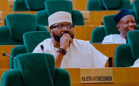 The House of Representatives has passed the Independent Candidacy Bill for its second reading.