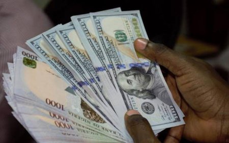 According to the World Bank Nigeria incurs a loss of N13 trillion due to foreign exchange subsidies. They have urged the government to maintain a unified exchange rate, which would help rectify the significant distortions created by the previous administration and ultimately benefit the economy.