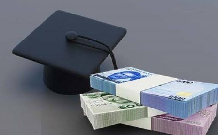Mr. Akintunde Sawyerr, the Managing Director and Chief Executive Officer of the Nigerian Education Loan Fund, on Wednesday, announced that since the launch of the program in August 2024, the fund has successfully distributed over N10 billion to applicants.