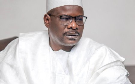 Ndume urges President Tinubu to dismiss additional ministers.