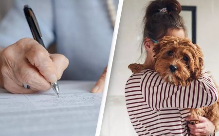 A woman from China is leaving her $2,800,000 fortune to her pets to get revenge on children for never visiting her while she was ill.