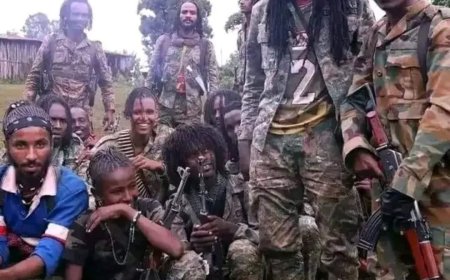 Newly-formed terrorist group, Lakurawa k!lls 15 residents in Kebbi