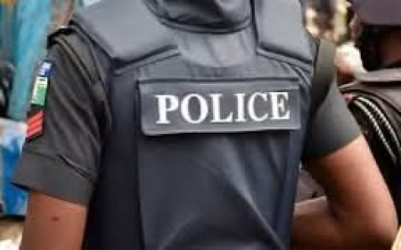 No report of Lagos missing party girls- Police