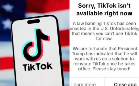 TikTok stops working in US, disappears from Apple, Google stores ahead of federal ban