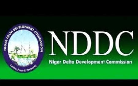 NDDC Begins Payment of N50,000 Monthly Stipends to 10,000 Niger Delta Youths