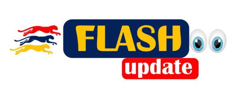 The Importance of Writing Articles for FlashupdateNG (and Earning While You Learn)