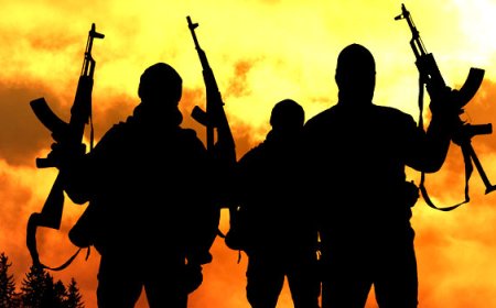 Bandits k!ll driver and abduct five passengers in Zamfara