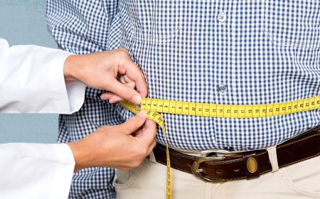 Researchers uncover why waistlines expand during middle age
