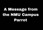 It's wonderful to hear from you again! We've certainly missed your presence around the NMU campus and in this space.