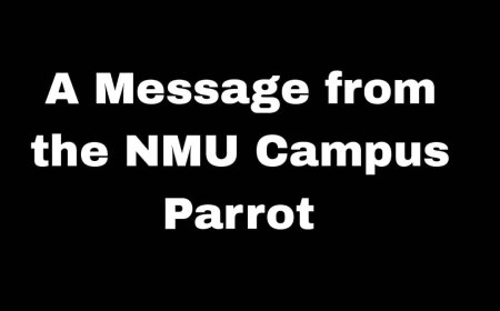 It's wonderful to hear from you again! We've certainly missed your presence around the NMU campus and in this space.