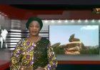 The 27th NUGA Games: Unveiling the Accreditation Process at the University of Jos
