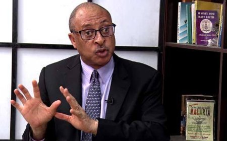 To use revenue as evidence of progress is not to understand economics - Pat Utomi slams FG