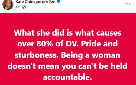 What she did is the cause of over 80% of domestic violence - Nigerian woman criticizes Ibom Air passenger