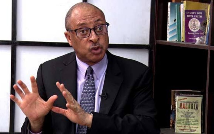 To use revenue as evidence of progress is not to understand economics - Pat Utomi slams FG