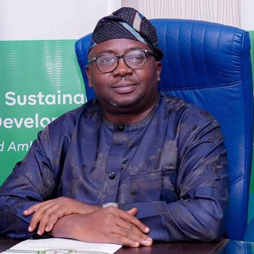 Bayo Adelabu resigns as power minister.