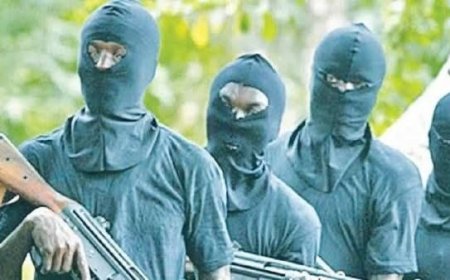 Boko Haram attack Borno school, k!ll teacher and abduct students taking NECO