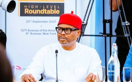 Ex-Minister, Uche Nnaji, arrested at Enugu Airport