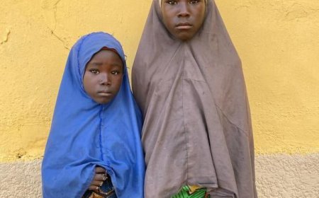 Two young girls escape from terrorist enclave, surrender to troops in Borno