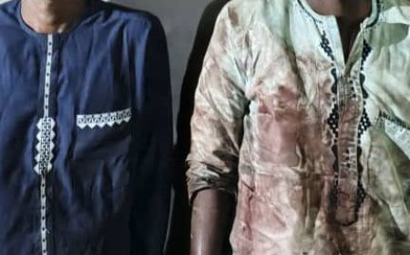 Two suspected terrorist informants arrested in Yobe market