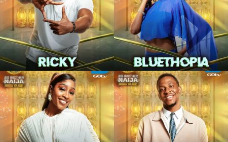 Meet all the Big Brother Naija season 11 housemates