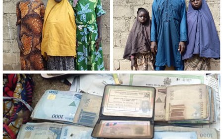 Six terrorists’ family members surrender to troops in Borno