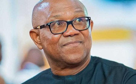Once you join APC, corruption allegations disappear – Peter Obi