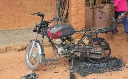 Terrorists k!ll 30, including women and children in fresh Southern Kaduna attack